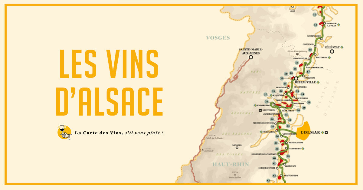 Cap sur les vins d'Alsace – La Carte des Vins s'il vous plaît