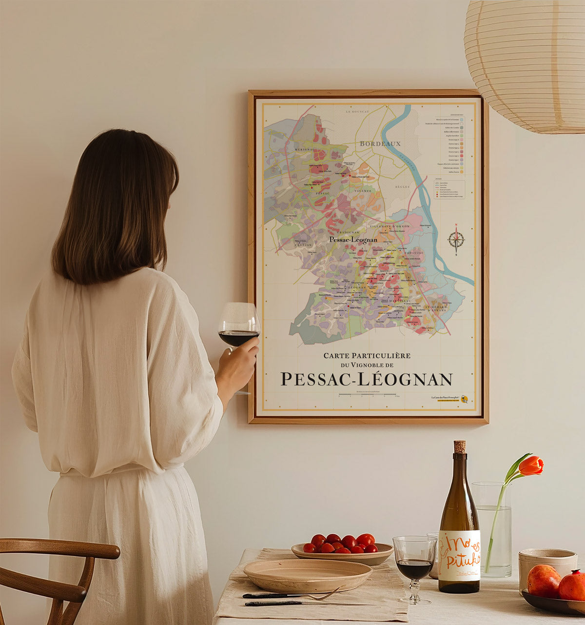 La Route Des Vins SVP : L'atlas Des Vignobles De France