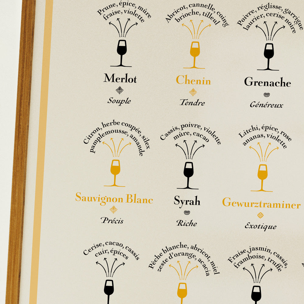 Grape varieties and their dominant aromas – La Carte des Vins s'il vous ...