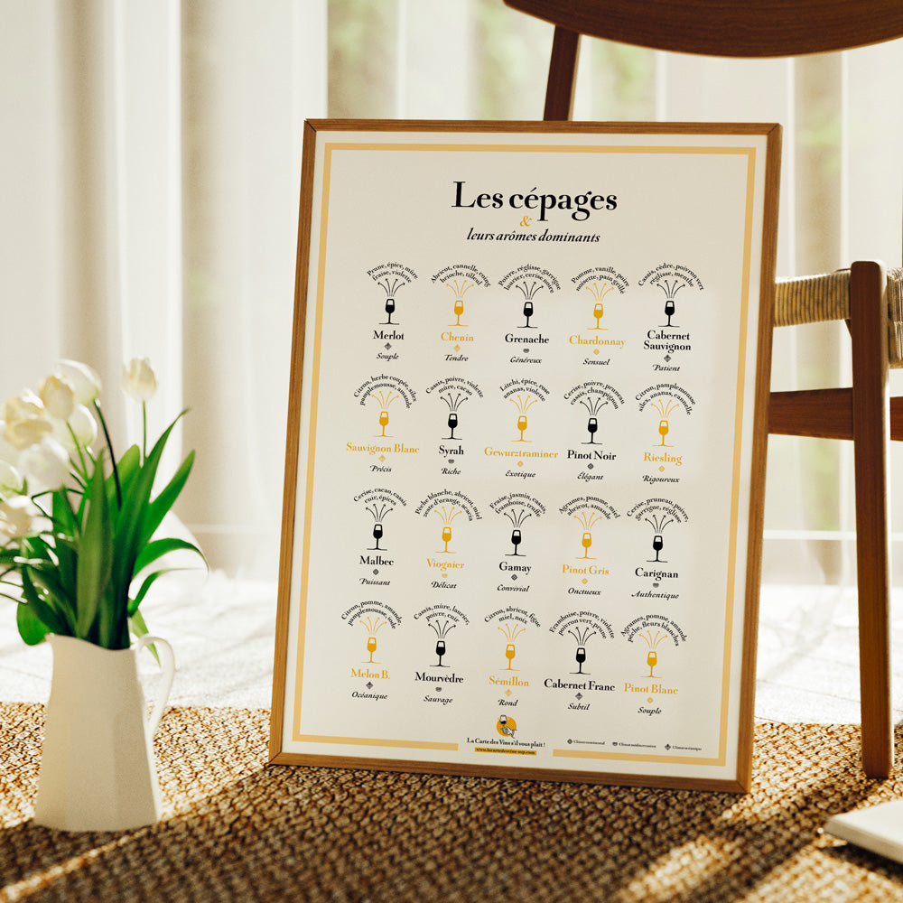 cépages arômes vin