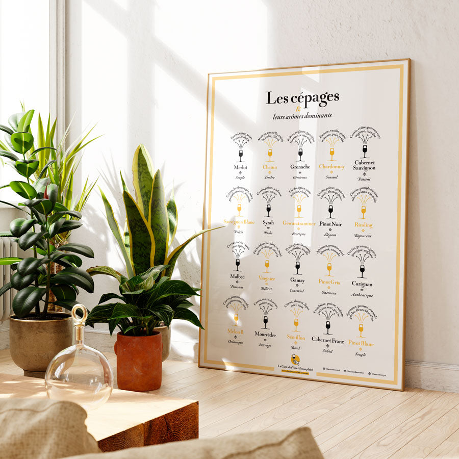 Les Cépages et leurs arômes dominants