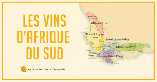 Cap sur les vins d'Afrique du Sud