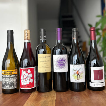 Le Club des Vins s'il vous plaît - 6 bouteilles