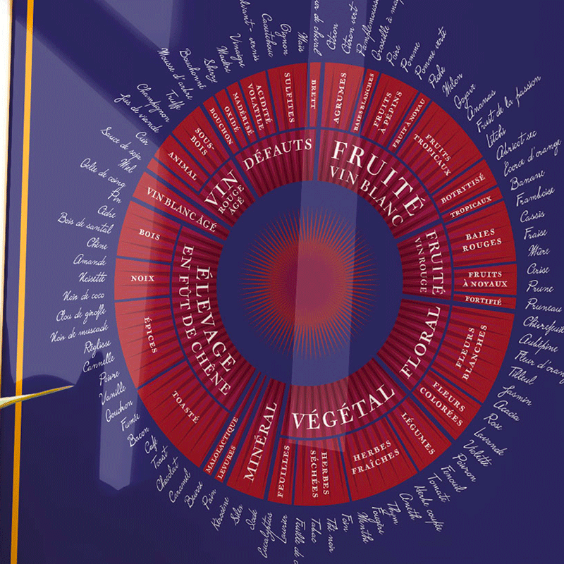 La Roue des Arômes du Vin - XL