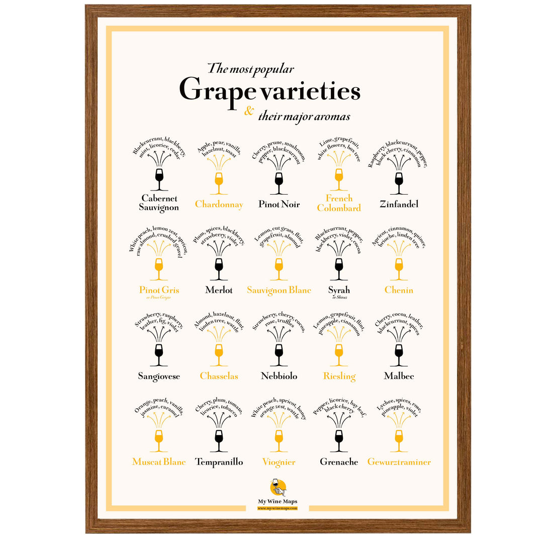 Grape Varieties & their major aromas