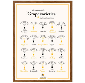 Grape Varieties & their major aromas