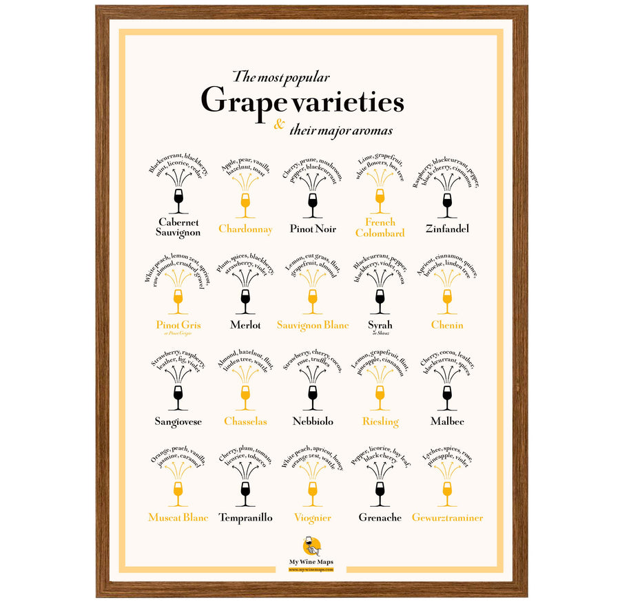 Grape Varieties & their major aromas