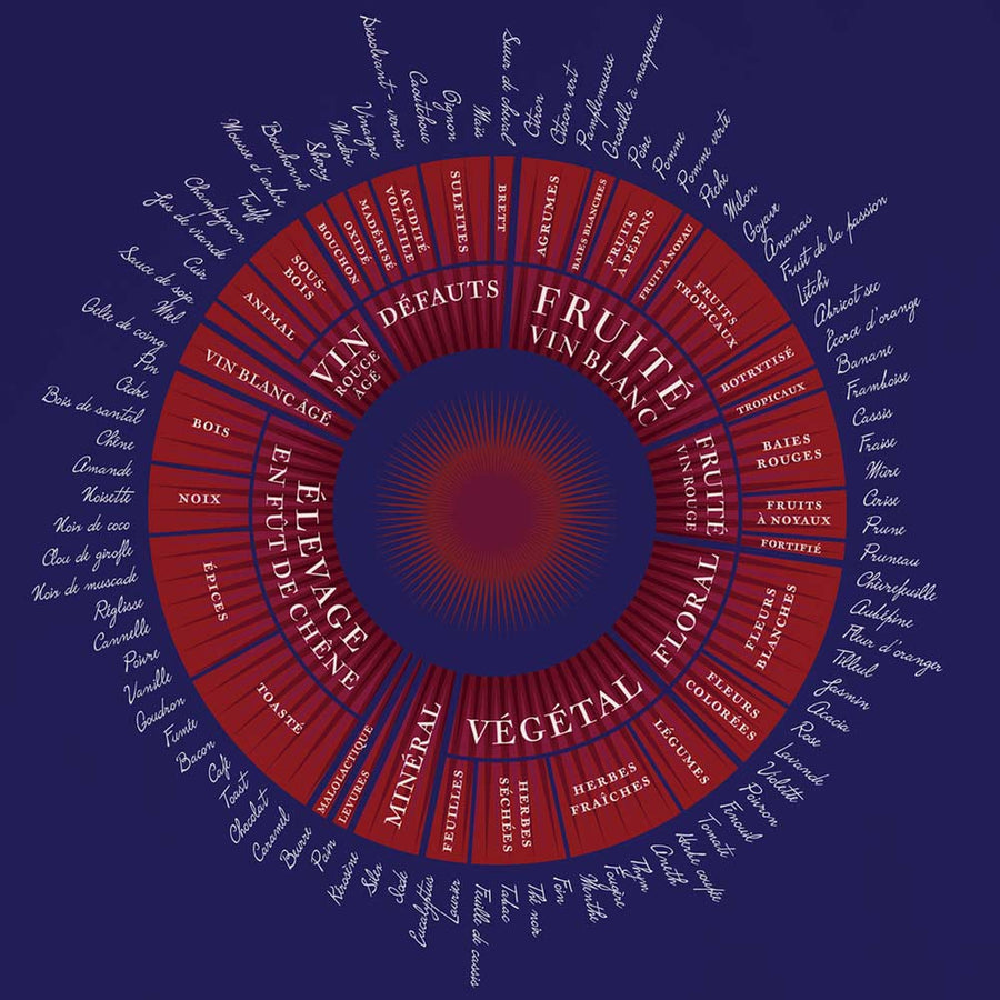 Wine Aromas Wheel (available in 2 languages)